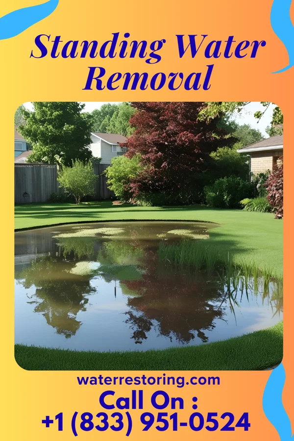 Standing Water Removal in Orrick, MO